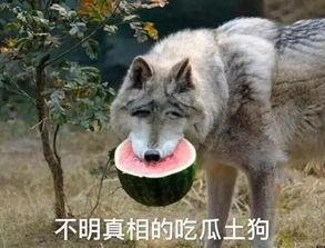 喂驴打一嘴巴子吃瓜娱乐