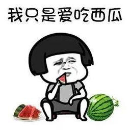 娱乐都是吃瓜,瓜田里的欢乐与八卦