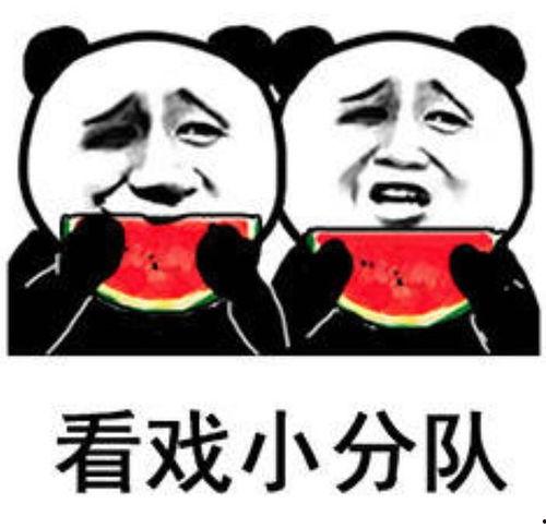 娱乐八卦吃瓜图片表情包下载