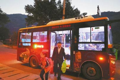 娱乐吃瓜酱小猫坐公交车,萌宠坐公交，趣味横生一幕